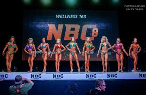 WELLNESS 163